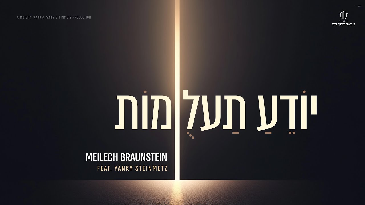 Yodeah Ta’alumos - Meilech Braunstein feat. Yanky Steinmetz | יודע תעלומות - מיילך ברוינשטיין