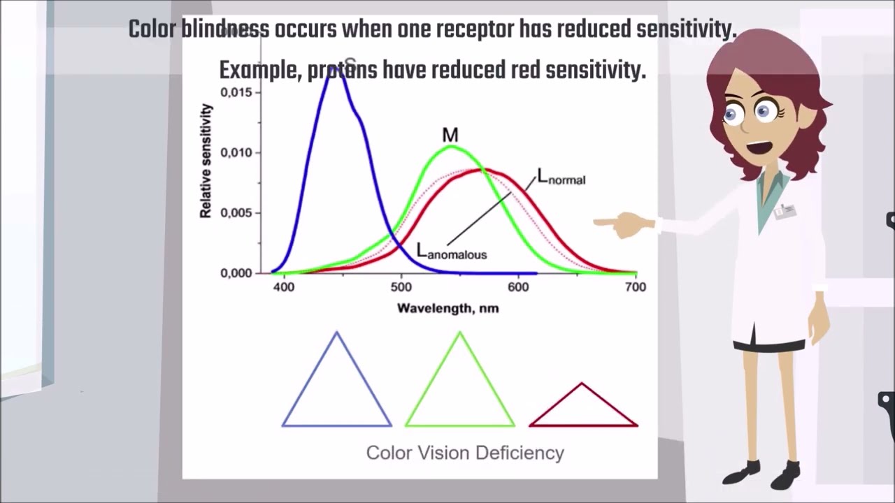 Hogyan működnek a Colorlite színtévesztést korrigáló szemüvegek?