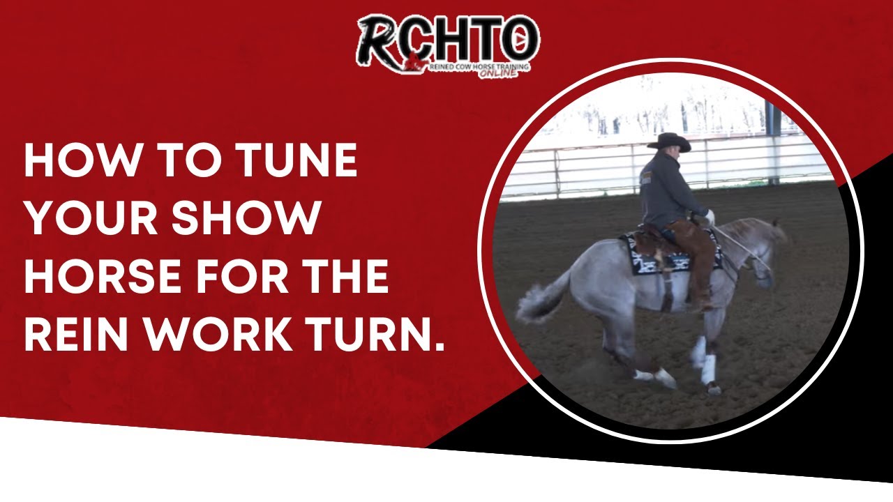 How To Tune Your Show Horse For The Rein Work Turn.