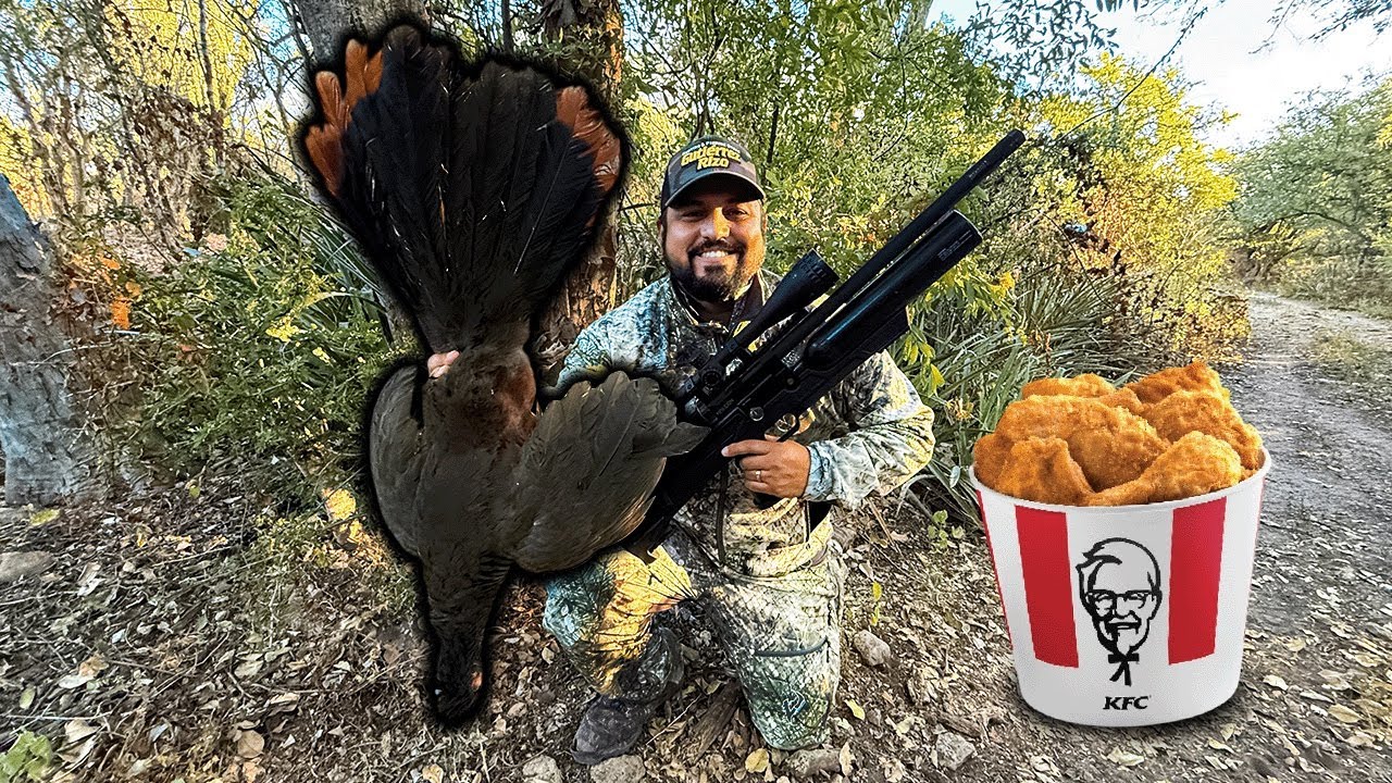 Caza y cocina de CHACHALACAS o PAVAS de MONTE al estilo KFC