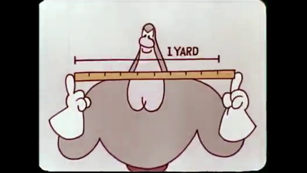 The Metric Marvels  - Meter Man - 1978