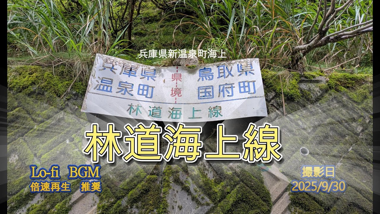 【林道ブログ】　兵庫県　海上林道　うみがみ（新温泉町海上）上山高原　小又川渓谷に　ケロジマさん　いってらっしゃい　#りんどう