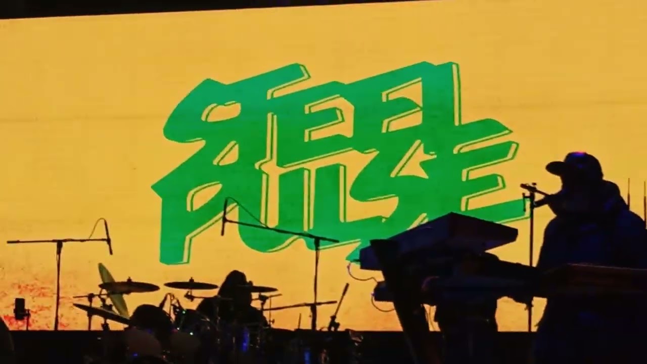 Steel Pulse - Your House (Reggae Live Festival 2025)