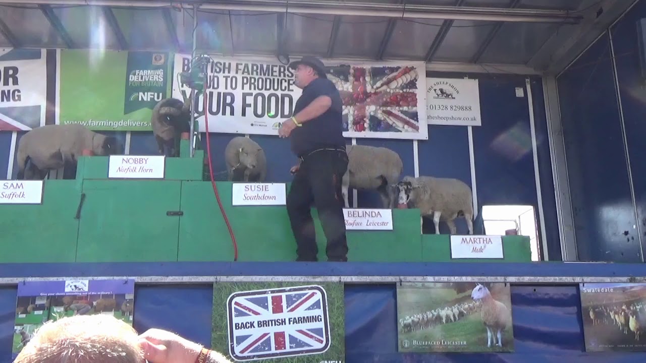 Great Dorset Steam Fair 2017 - The Sheep Show