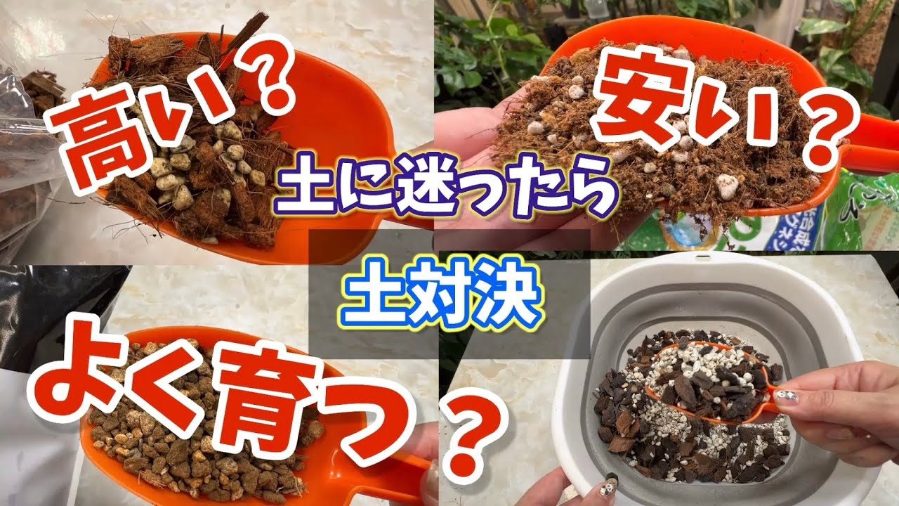 よく育つ！高い土！安い土！オリジナル配合！土対決  #観葉植物 #houseplants #plants #植物 