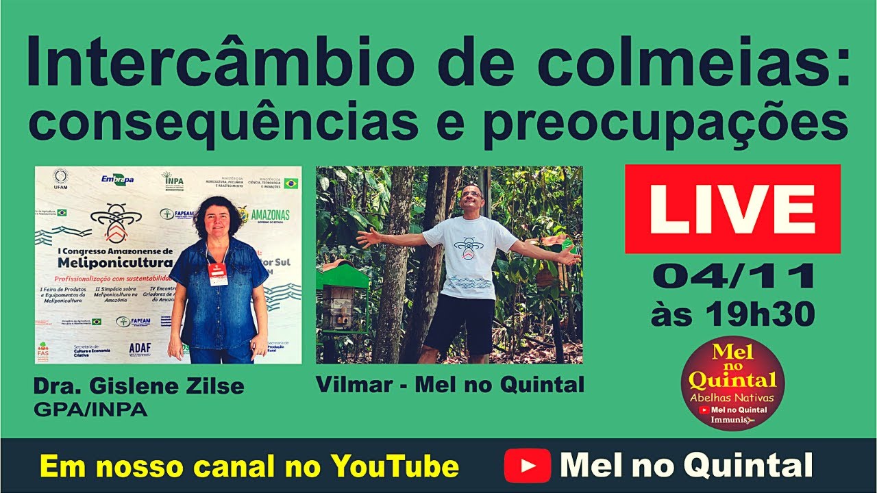 INTERCÂMBIO DE COLMEIAS com Dra. Gislene  Zilse - GPA/INPA