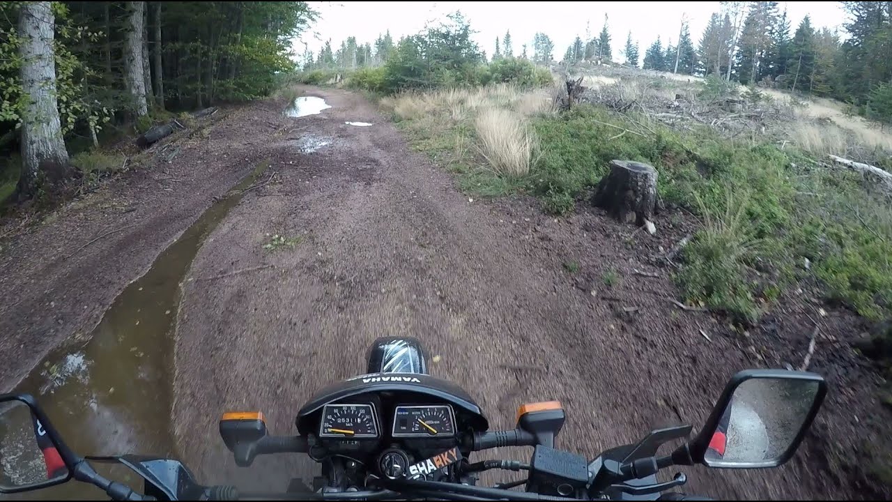 [Off-Road#3] UNE 600 XT DANS LES BOIS