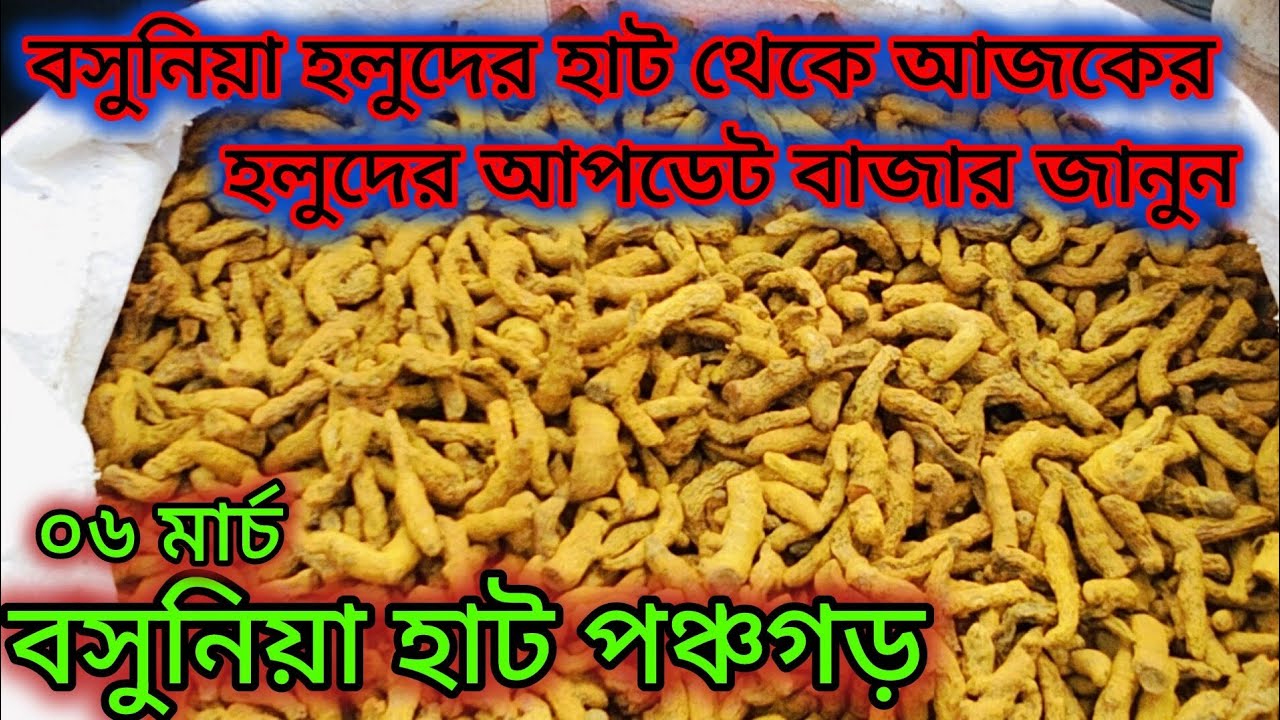 পানির দামে পাওয়া যাচ্ছে বসুনিয়া হাটের শুকন হলুদ
