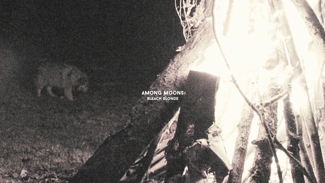 among moons - bleach blonde