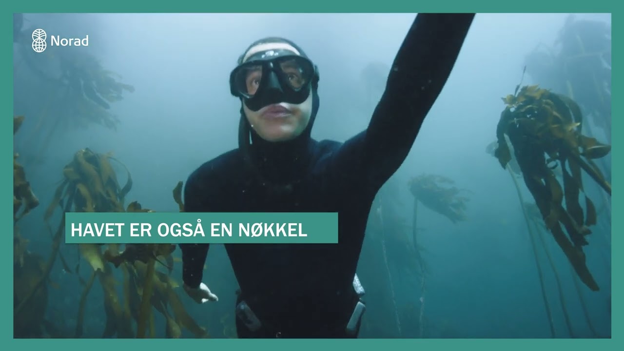 Hvordan redde livet under vann - og oss selv?