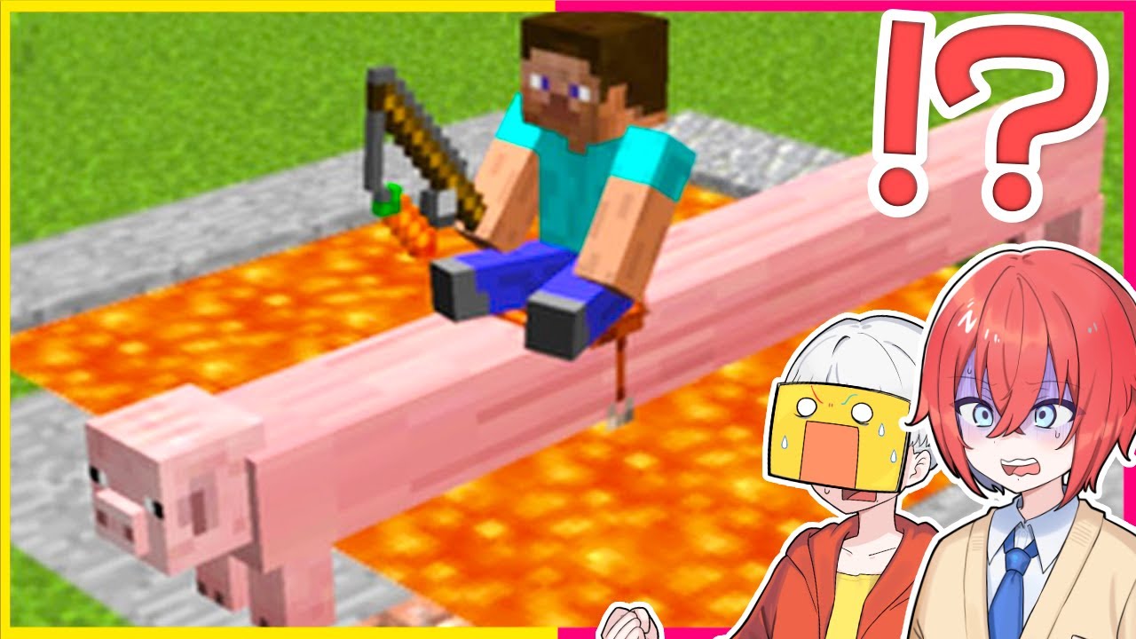 頭バグるマインクラフト😵‍💫【まいくら・マインクラフト】