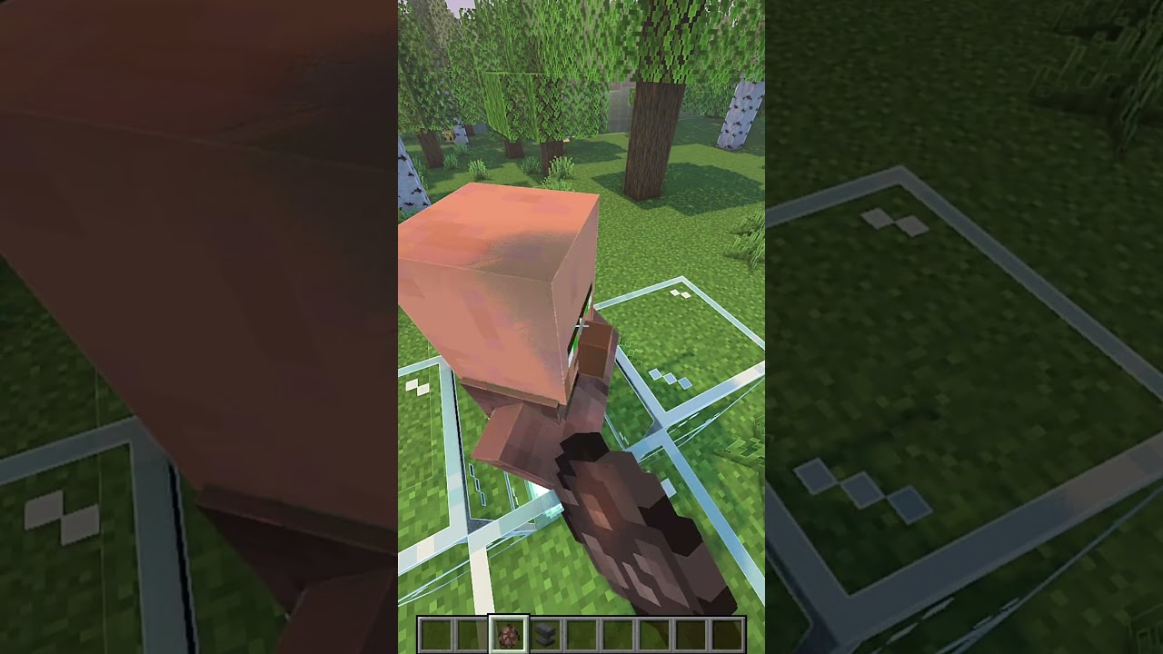 23 villager vs anvil #minecraft #shorts