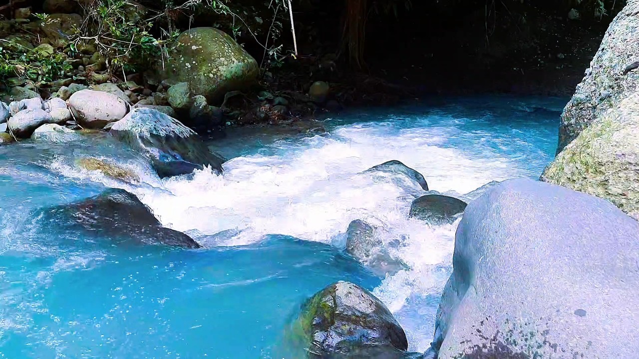 Forest River Sounds for Inner Peace