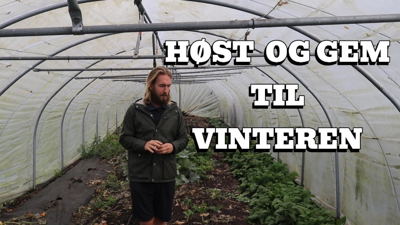 Oktober måned i køkkenhaven (pas på frosten)
