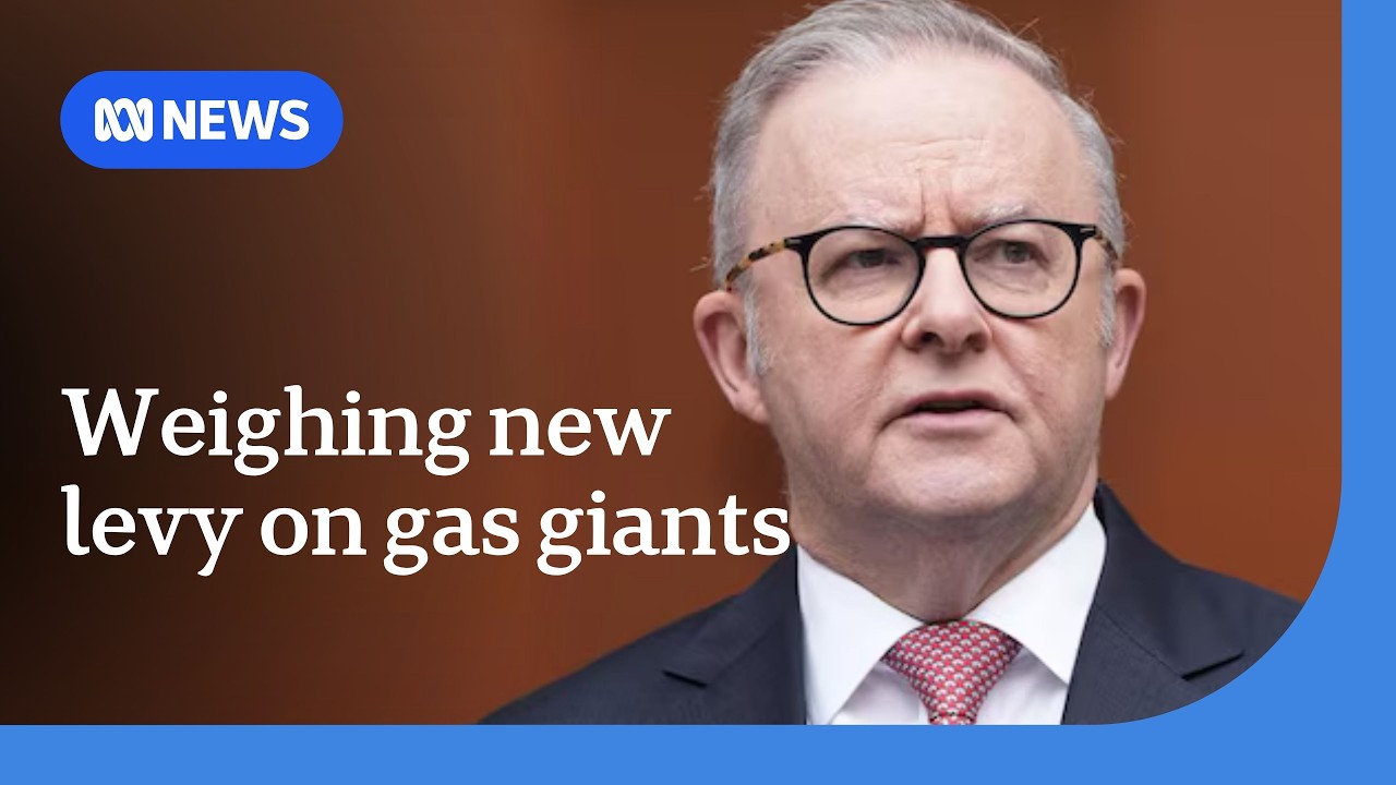 Government considers windfall tax on gas companies who profit during war | ABC NEWS