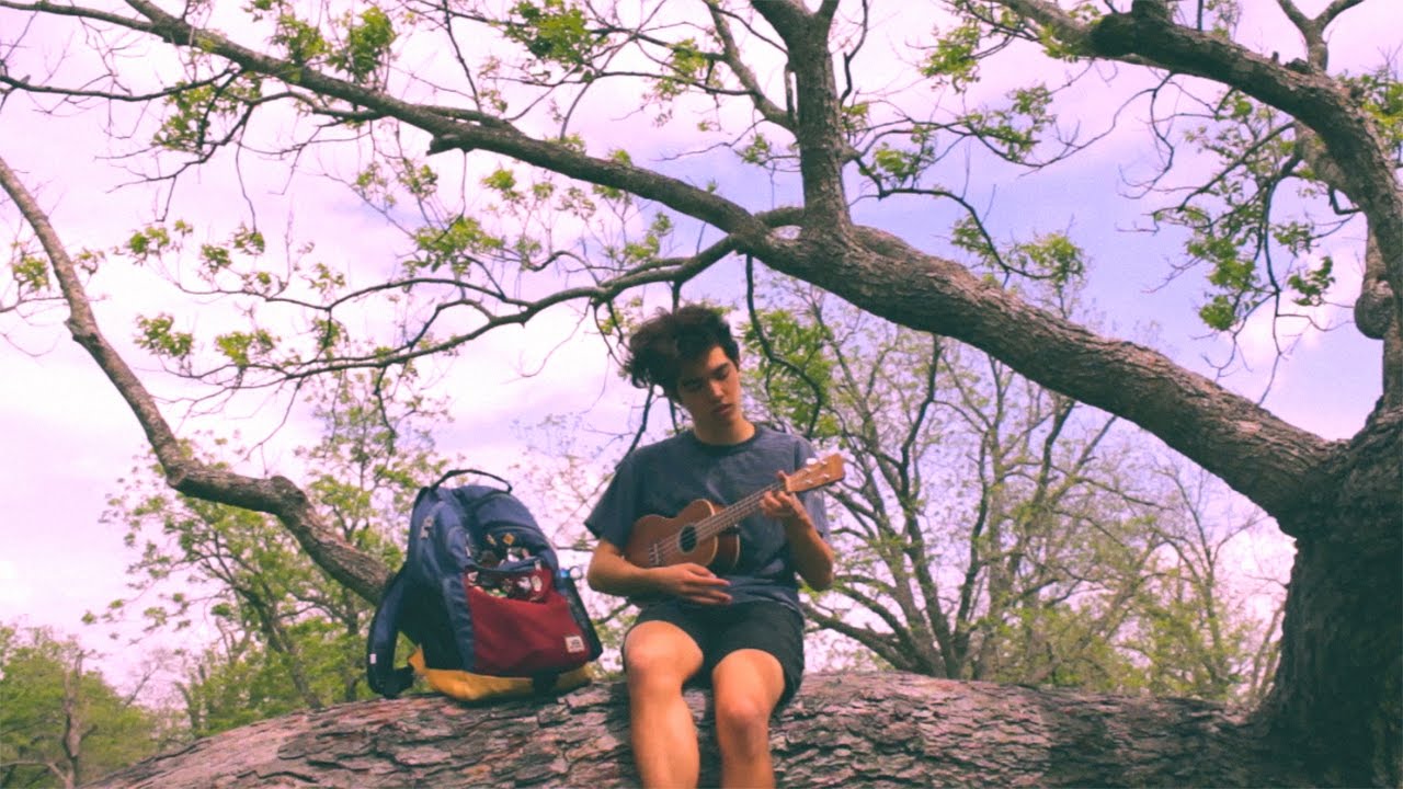 Treehouse - Conan Gray [Original Song]