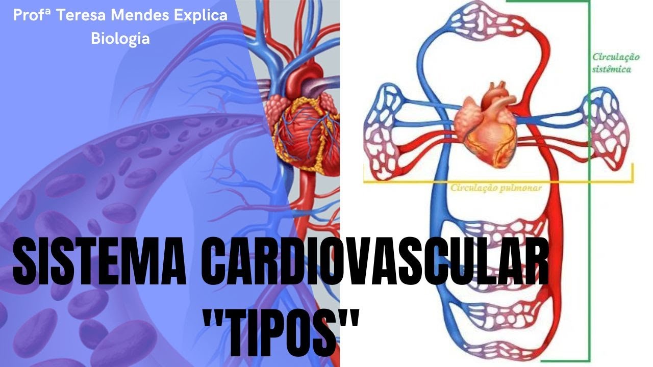 Tipos de circulação