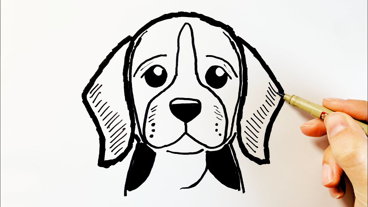 How to Draw a Beagle Dog