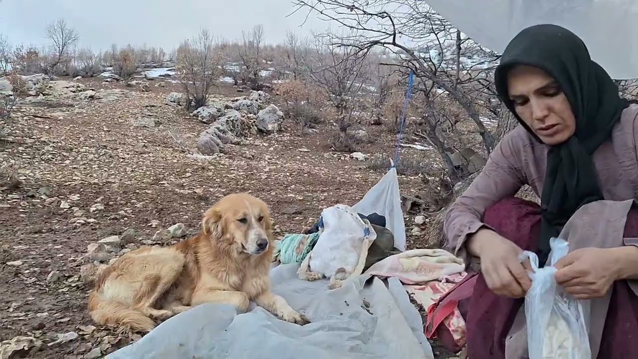 Отважная мать: попытка матери построить подземную пещеру, чтобы защитить своих двух маленьких доч