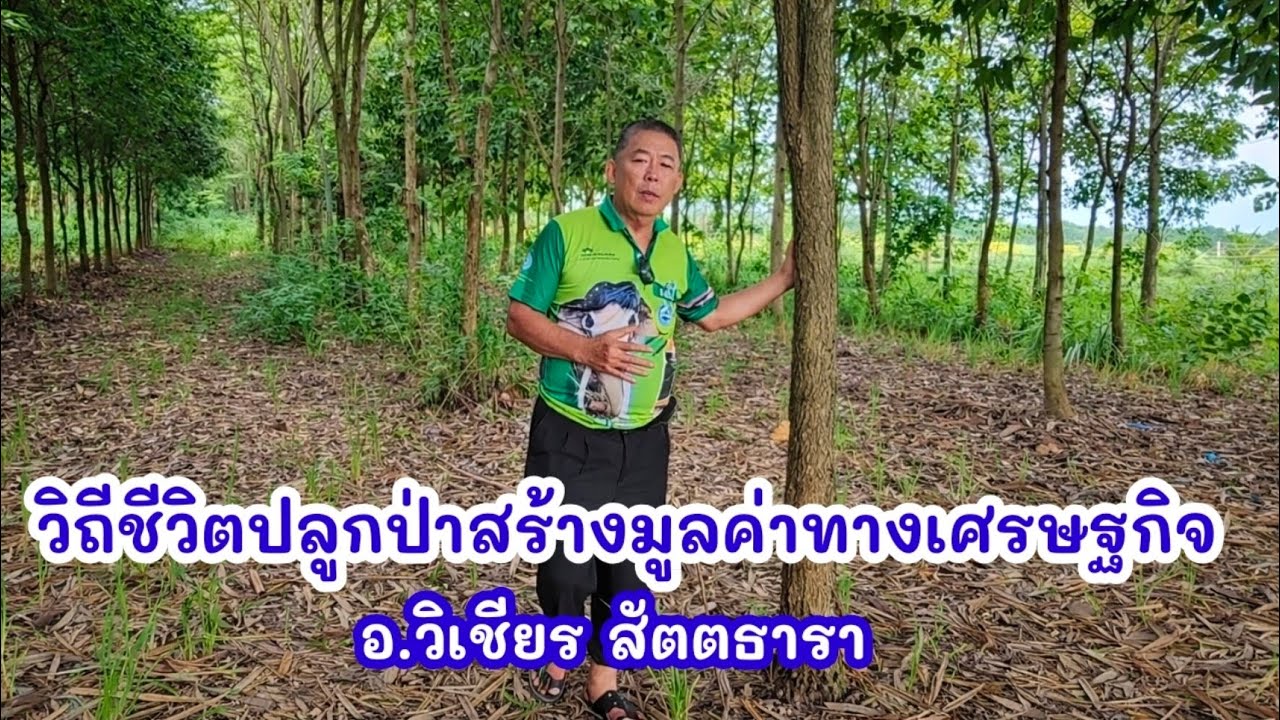 วิถีชีวิตปลูกป่าสร้างมูลค่าทางเศรษฐกิจ : อ.วิเชียร สัตตธารา
