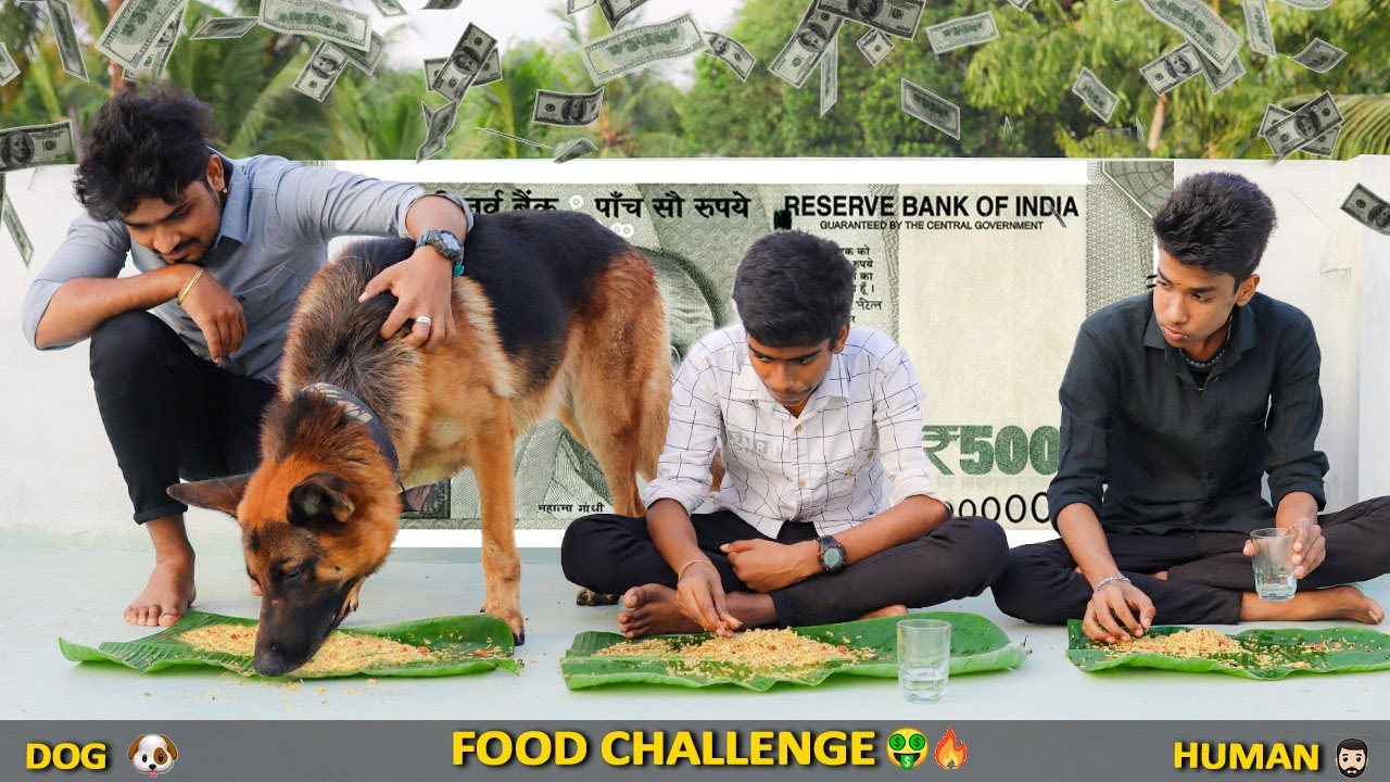 (தமிழ்) Food challenge with JACKY🐶🛑! Who will finish first ❌| Jacky The German Shepherd
