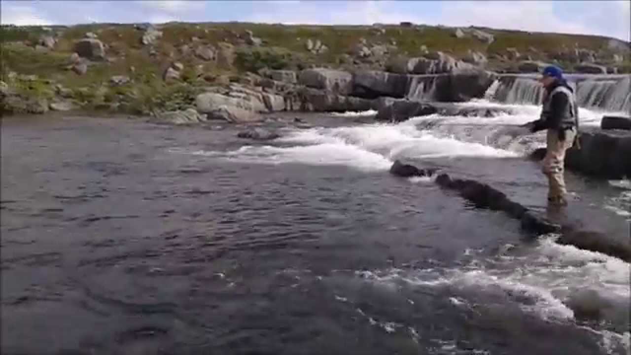Fly fishing in Finnmark 2014