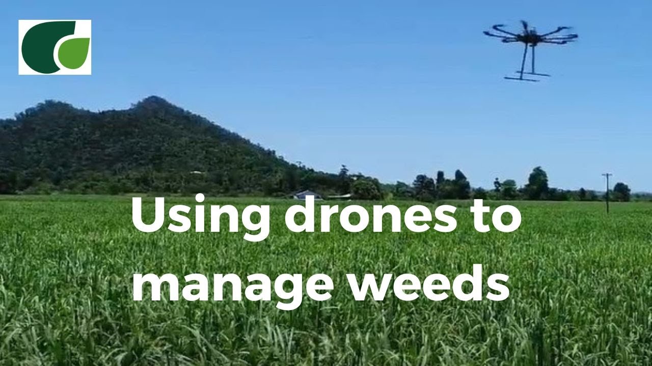 Drones: Precision Weed Management