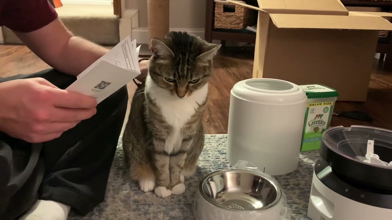 Minnie tries an automatic cat feeder