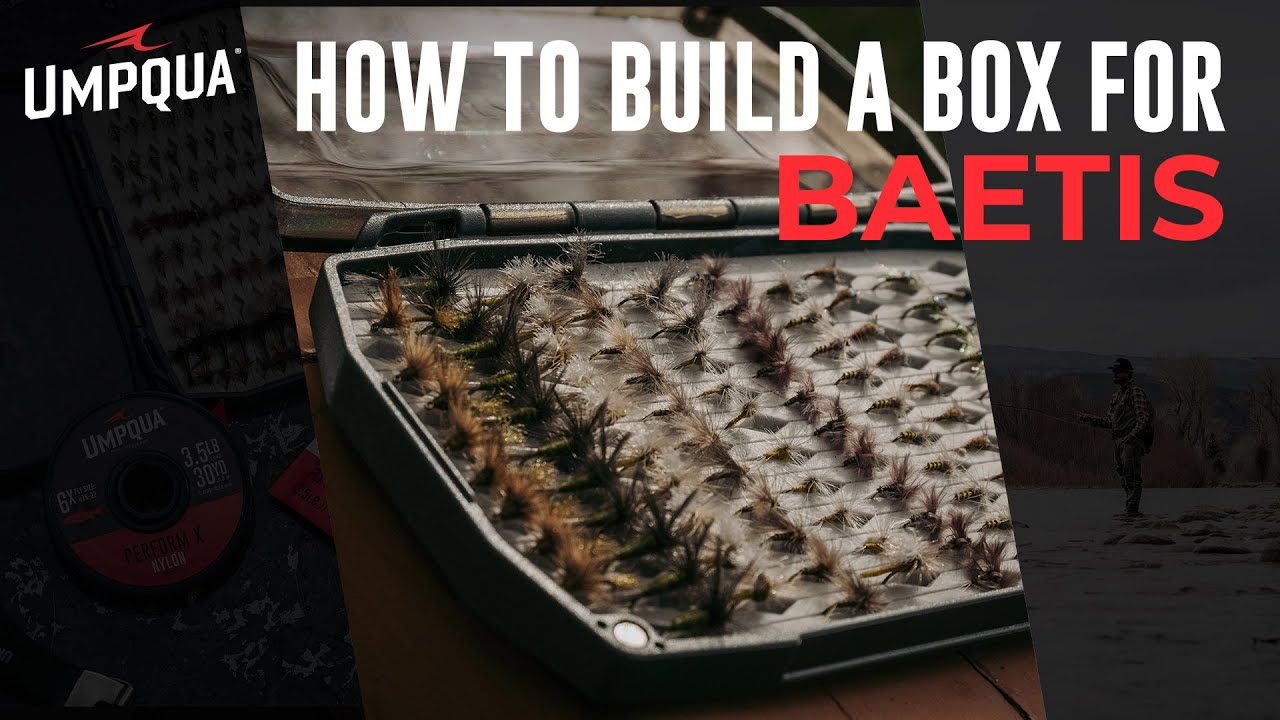 How to build a Baetis Lifecycle fly box