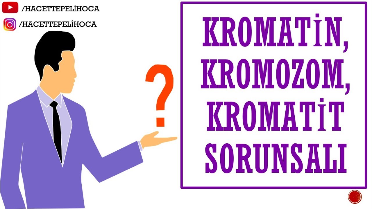 79 - ÜREME - 3 - KROMATİN, KROMATİT VE KROMOZOM FARKI  | TYT | 10. Sınıf | #hacettepelihoca