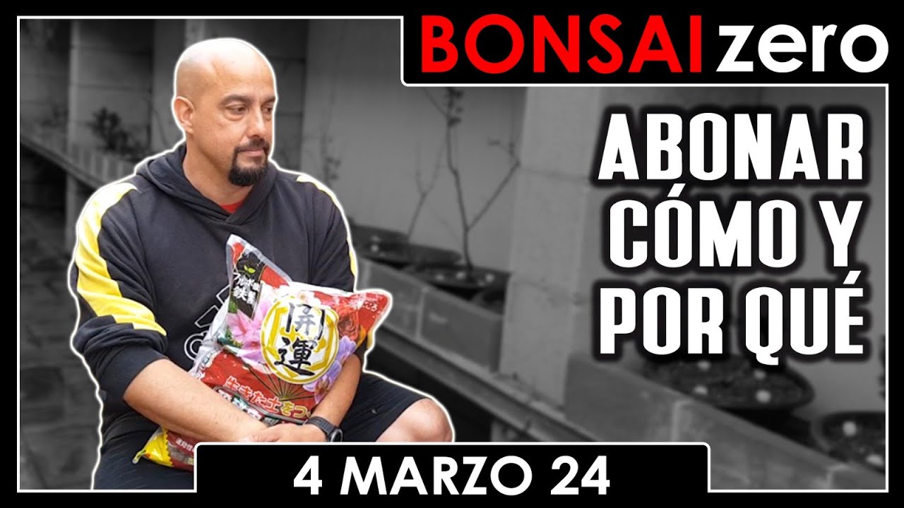 ABONADO - Cuándo, cómo y por qué - Bonsai Zero 4 marzo 2024