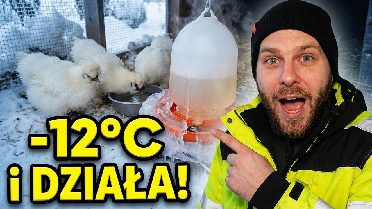 Woda NIE ZAMARZA przy −12°C? Ten sposób za grosze to złoto