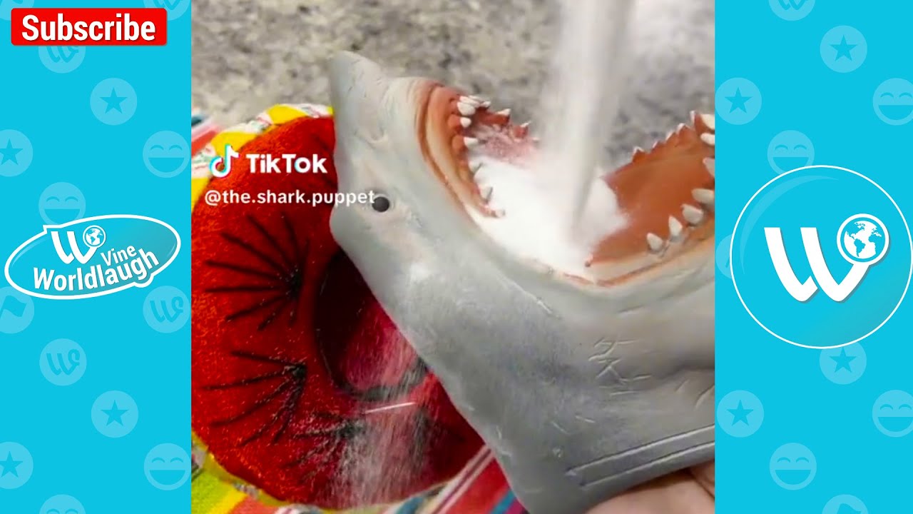 *1 HOUR* The Shark Puppet Funny Shorts Videos | The Shark Puppet NEW Videos Compilation 2024