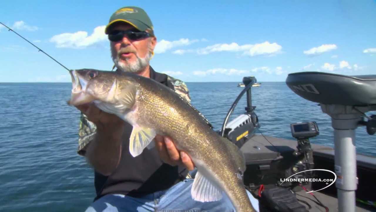 Understanding Walleye Structure Fishing