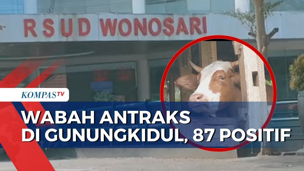 Kasus Antraks di Gunungkidul, Pasien Diketahui Turut Konsumsi Daging Ternak Terpapar Antraks