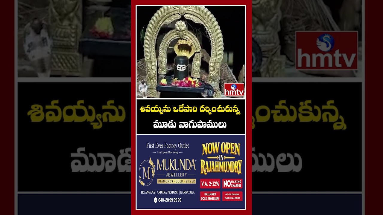 శివయ్యను ఒకేసారి దర్శించుకున్న మూడు నాగుపాములు