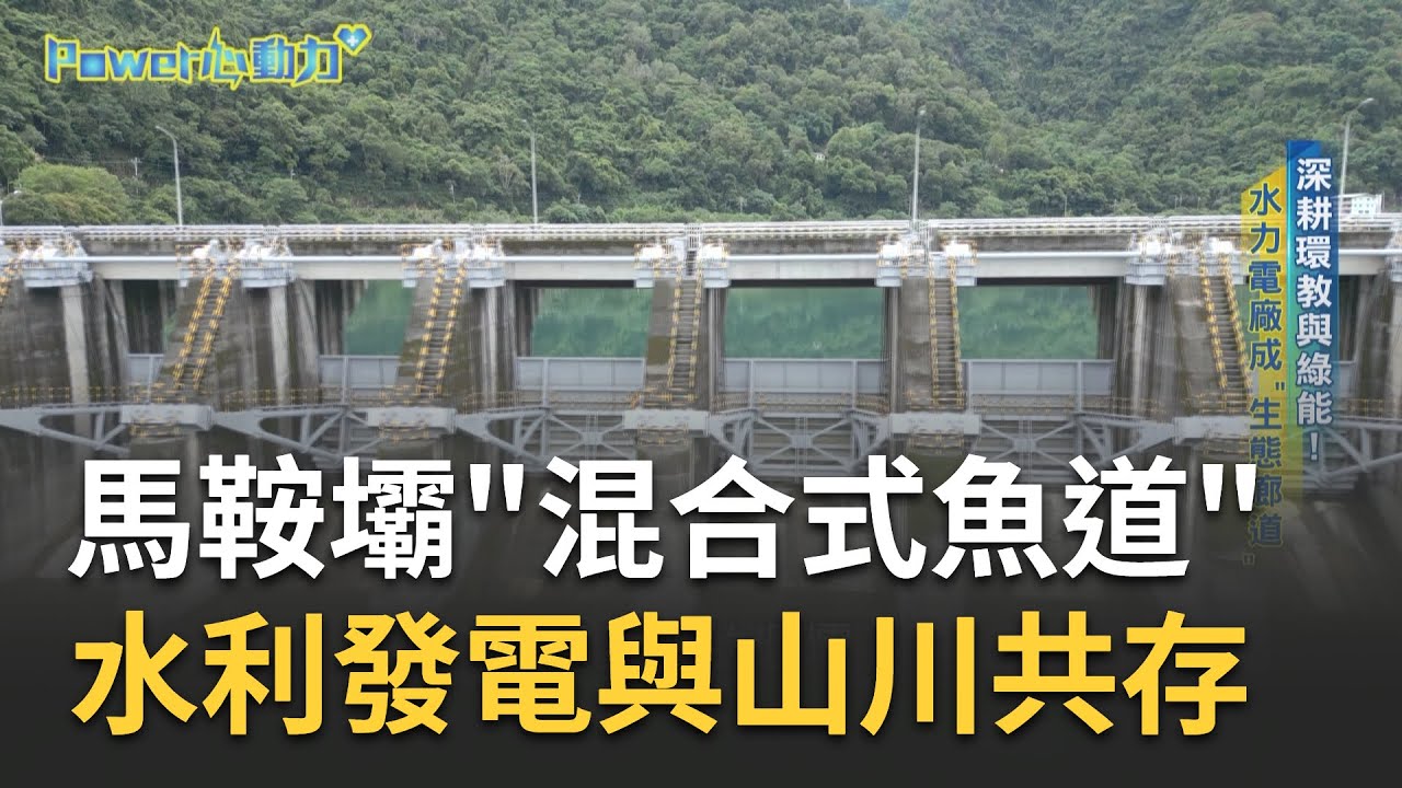 直擊中部水力發電核心！大甲溪電廠藏生態秘境 馬鞍壩生態園區