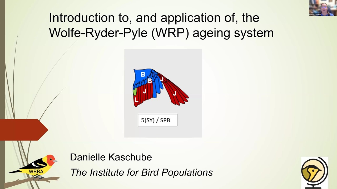 Introduction to, and the application of, the Wolfe-Ryder-Pyle (WRP) ageing system