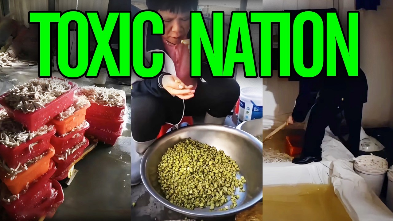 China's toxic food crisis