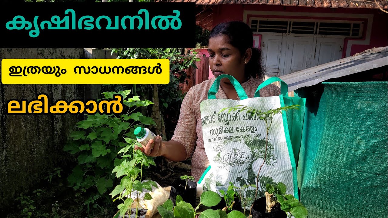 കൃഷിഭവനിൽ നിന്നും ഒരു സഞ്ചി നിറയെ സാധനങ്ങൾ|Krishibhavan