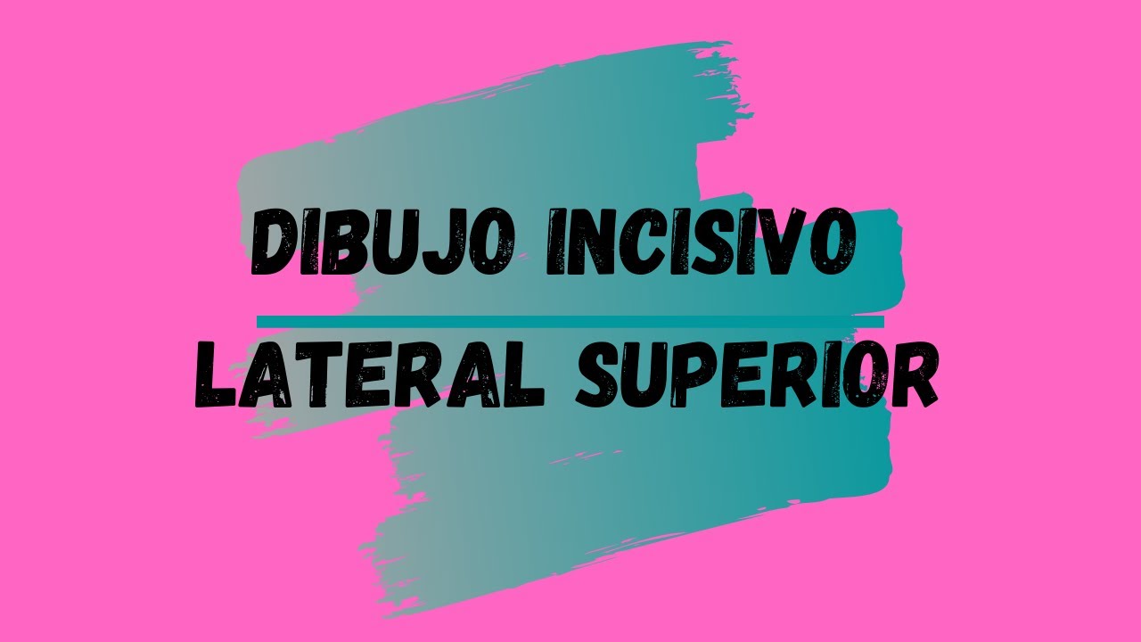 Dibujo Incisivo lateral superior