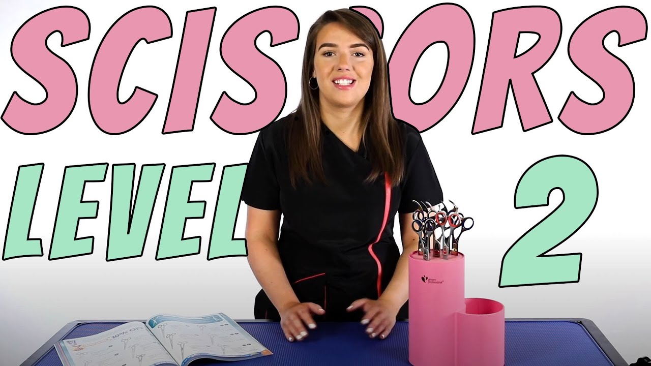 Ножницы для стрижки собак - Уровень 2 | Для владельцев и грумеров собак