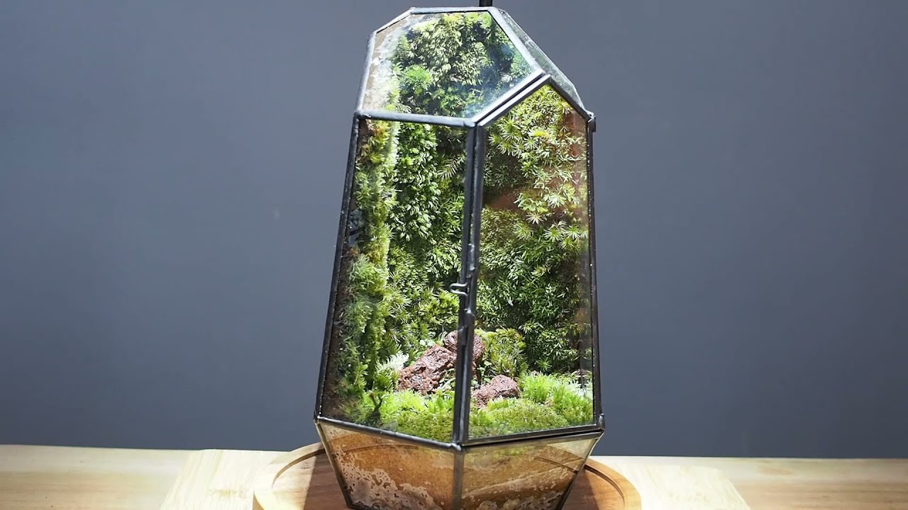 Making a terrarium moss wall