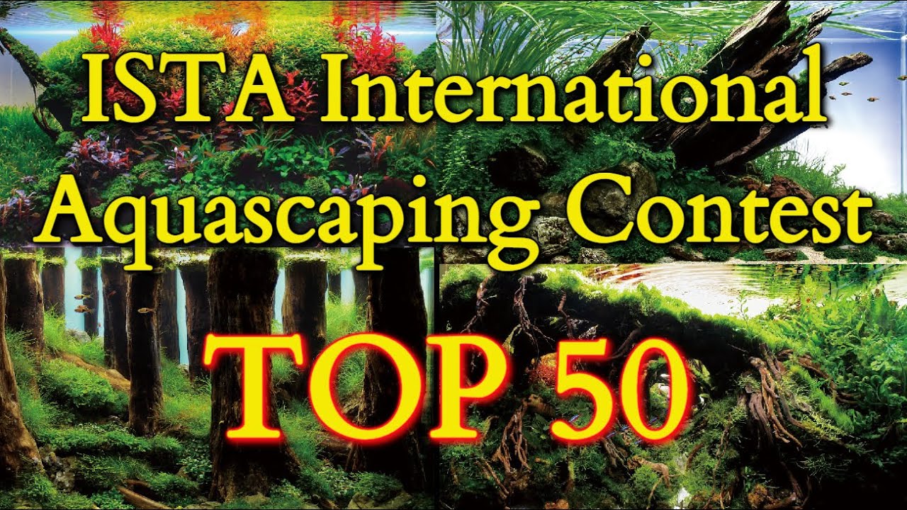 KONKURS Akwarystyczny International Aquascaping Contest