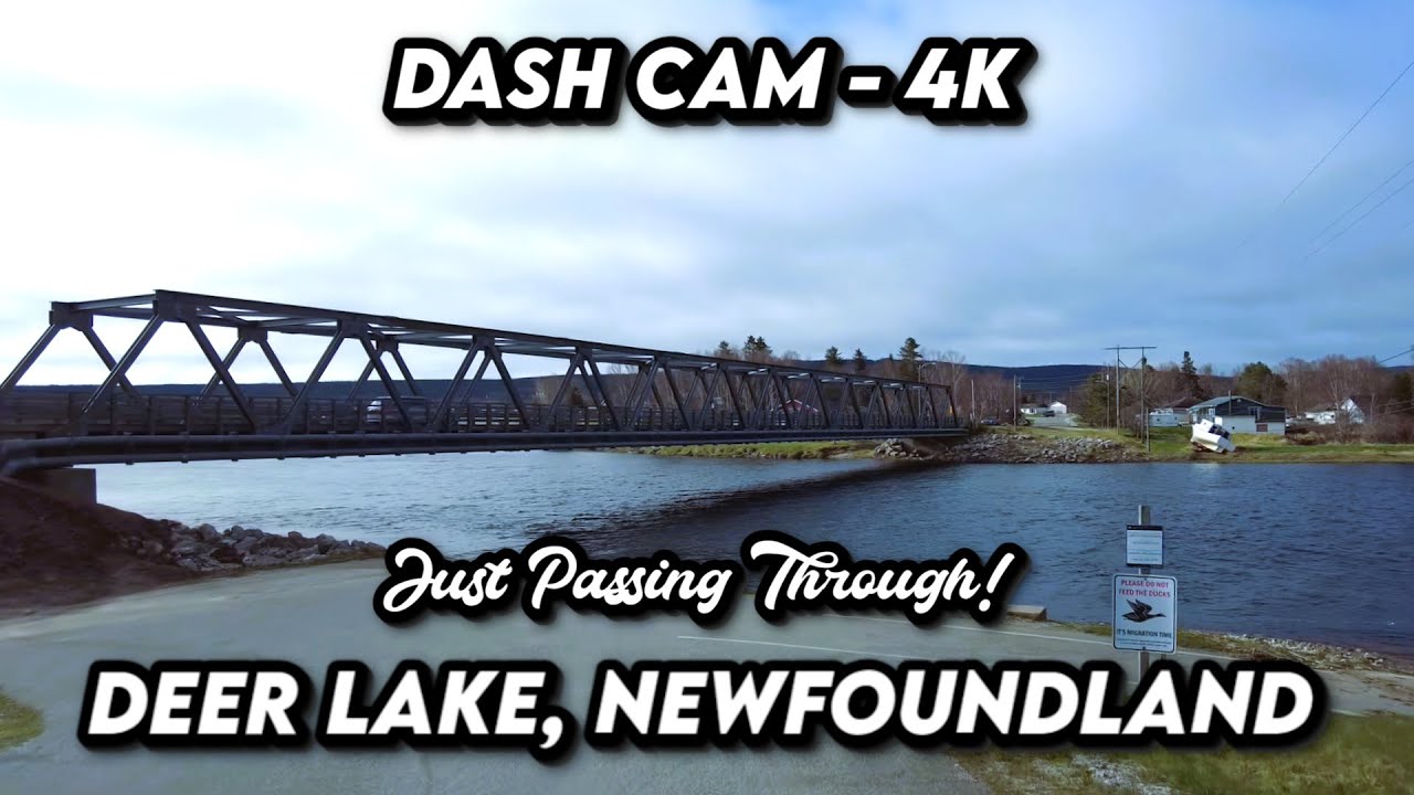 🚗 Exploring Deer Lake, Newfoundland in 4K: A Scenic Drive Through Town 🌲✨