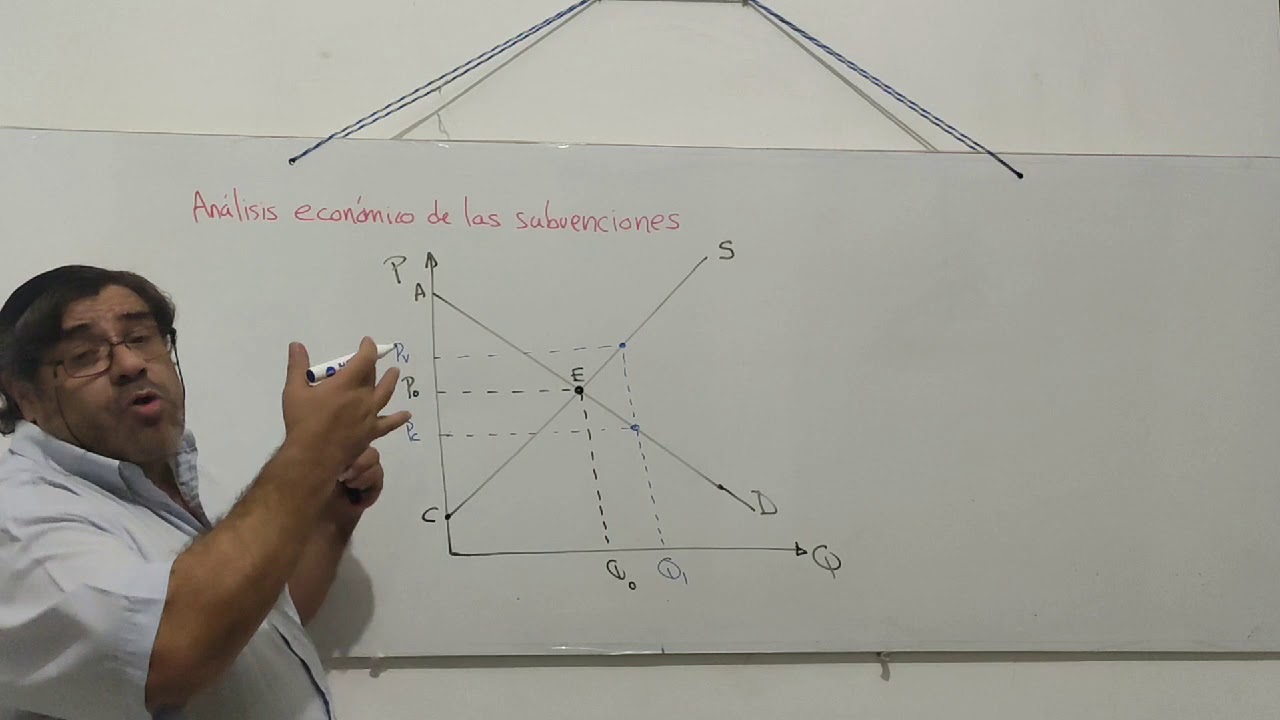 Análisis económico de las subvenciones