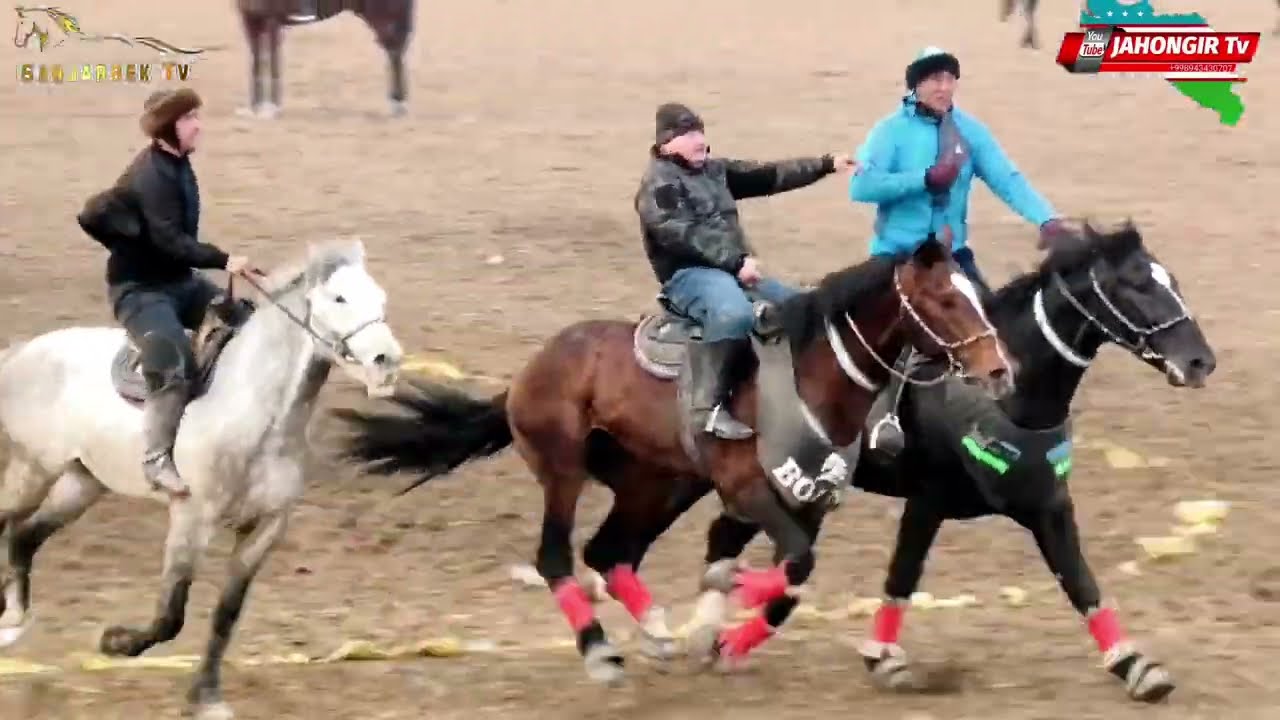 ALISHER POLVONNING BIR KUNLIK 5TA MARRASI. XOVOS 62-RAZEZD 18.01.2026