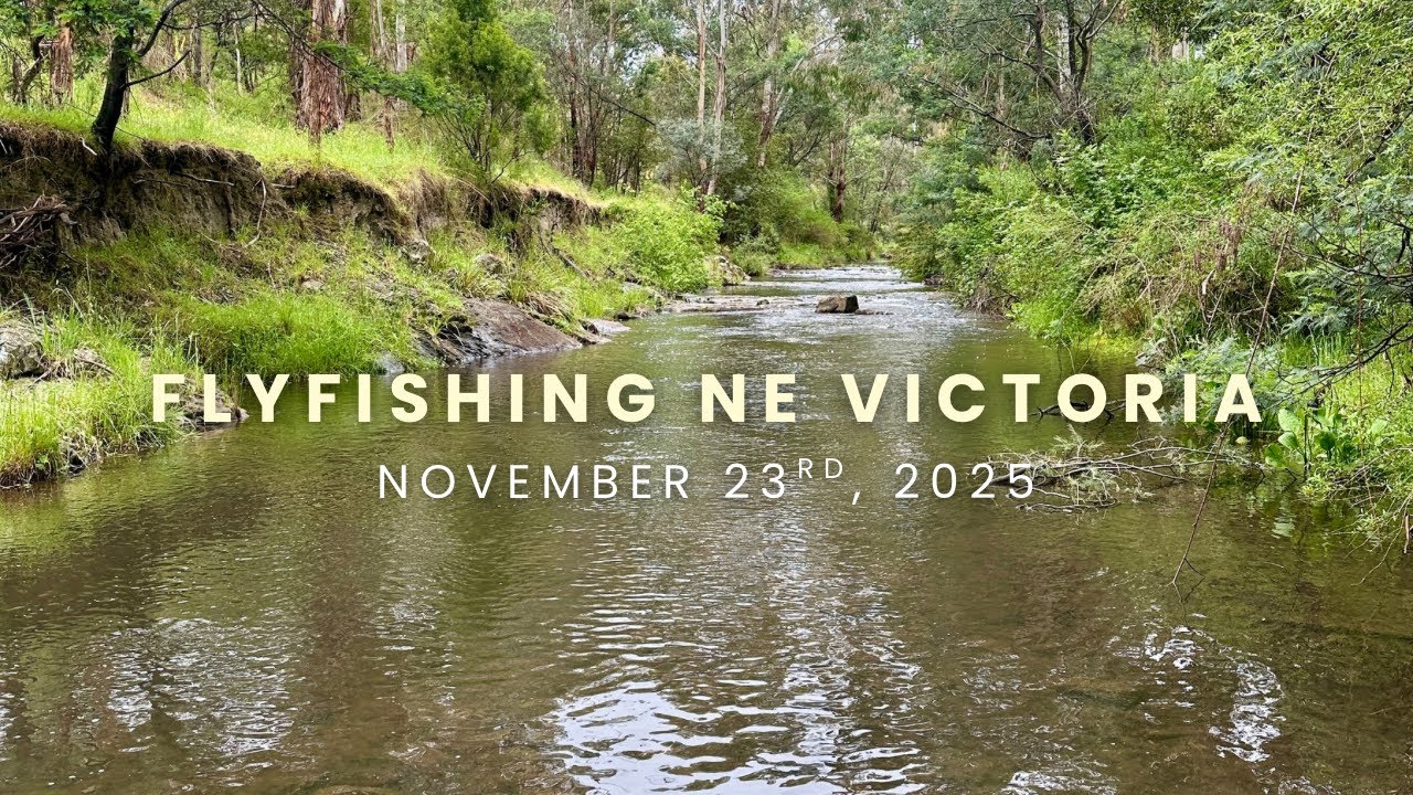 Fly Fishing NE Victoria 23/11/25