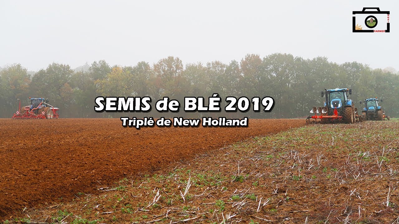 Labour et Semis de blé 2019 | x3 New Holland | CANON