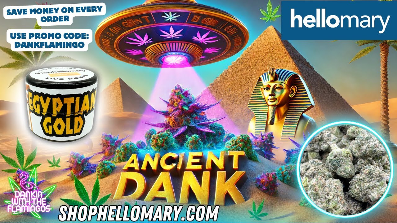 Getting Super Baked on Cotton Candy Gelato and Egyptian Gold Rosin from Shop Hello Mary! Dankin with